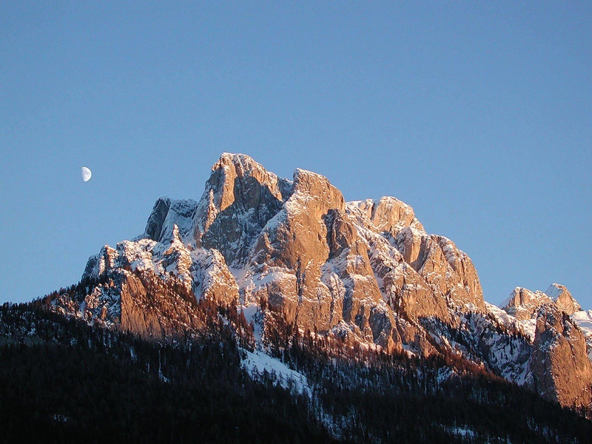 Gh Hotel Monzoni Pozza di Fassa Bagian luar foto
